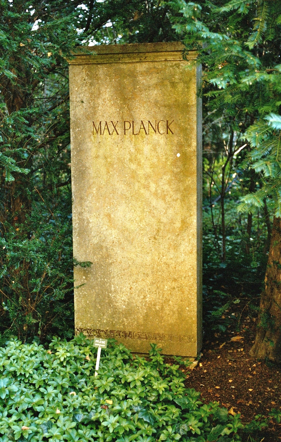 Max
        Planck Göttingen